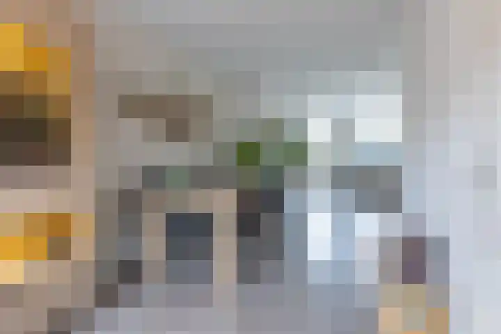 Hof van Wezemaal 26 Bergen op Zoom thumbnail 11