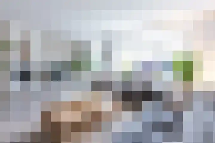 Hof van Wezemaal 26 Bergen op Zoom thumbnail 13