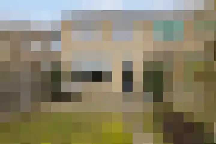 Hof van Wezemaal 26 Bergen op Zoom thumbnail 32