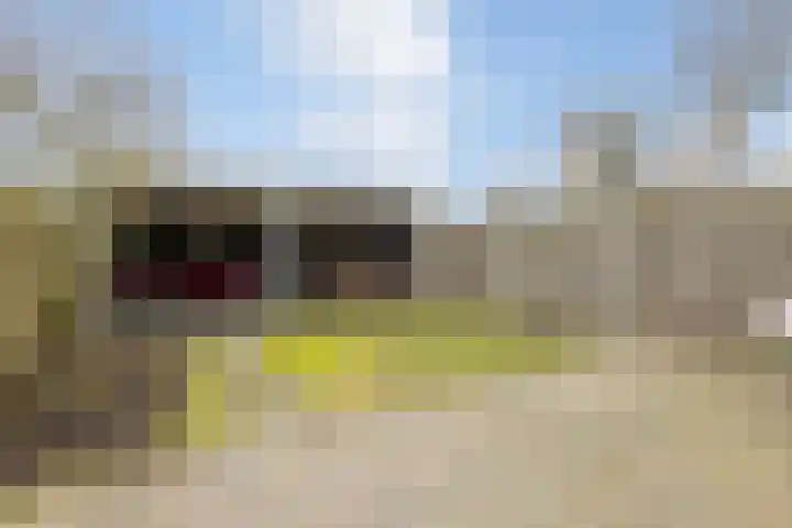 Hof van Wezemaal 26 Bergen op Zoom thumbnail 33