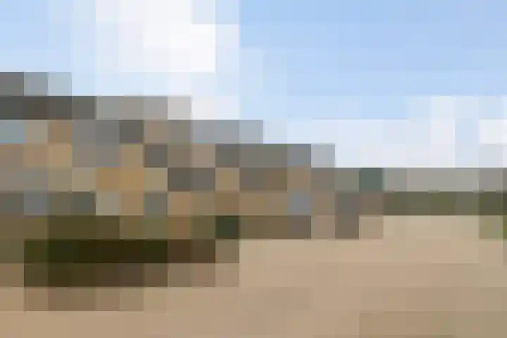 Hof van Wezemaal 26 Bergen op Zoom thumbnail 4