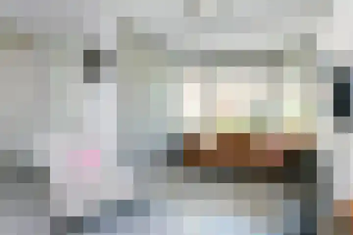 Hof van Wijk 12 Wijk bij Duurstede thumbnail 12