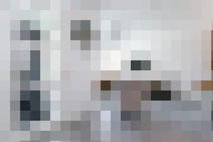 Hof van Wijk 12 Wijk bij Duurstede thumbnail 13