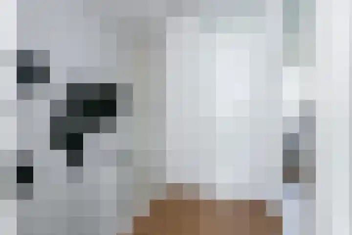 Hof van Wijk 12 Wijk bij Duurstede thumbnail 16