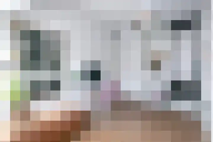 Hof van Wijk 12 Wijk bij Duurstede thumbnail 20
