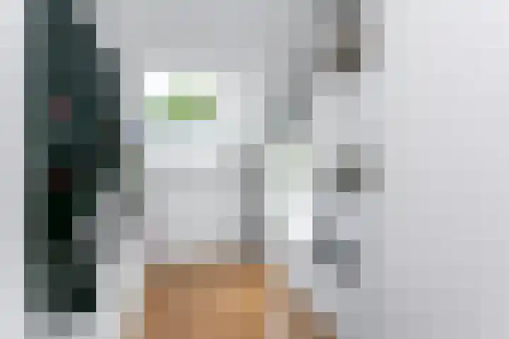 Hof van Wijk 12 Wijk bij Duurstede thumbnail 21