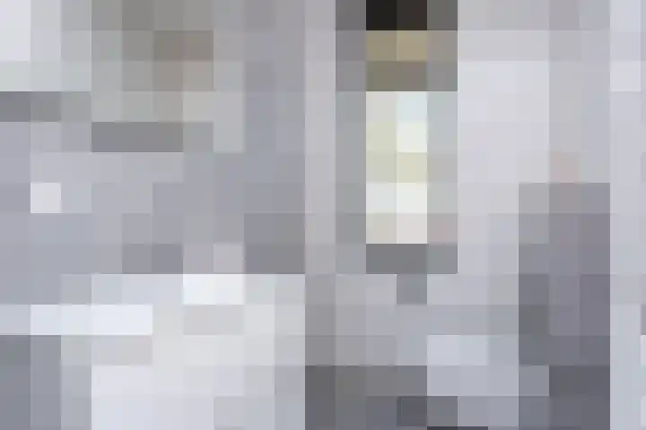 Hof van Wijk 12 Wijk bij Duurstede thumbnail 22