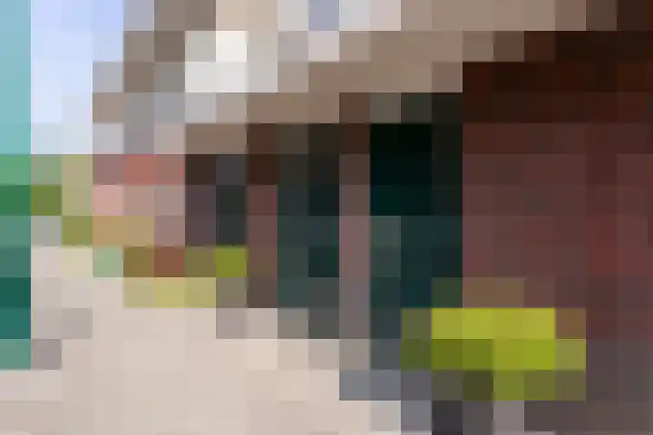 Hof van Wijk 12 Wijk bij Duurstede thumbnail 25