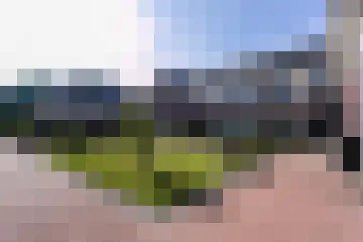 Hof van Wijk 12 Wijk bij Duurstede thumbnail 30