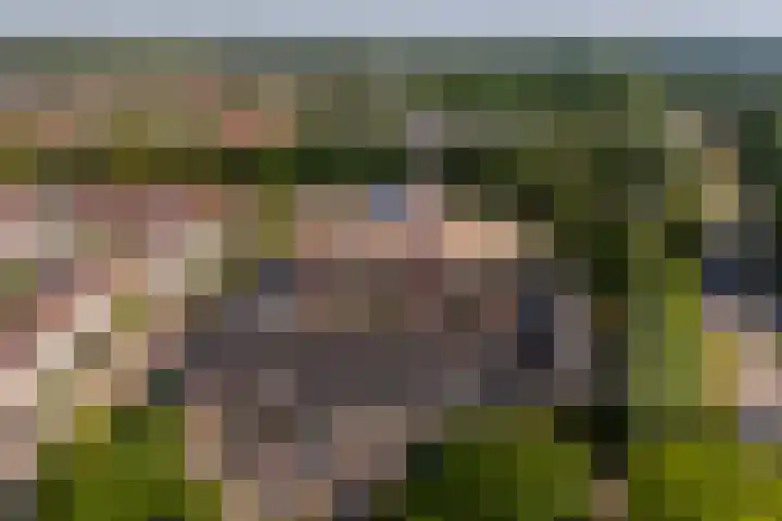 Hof van Wijk 12 Wijk bij Duurstede thumbnail 32