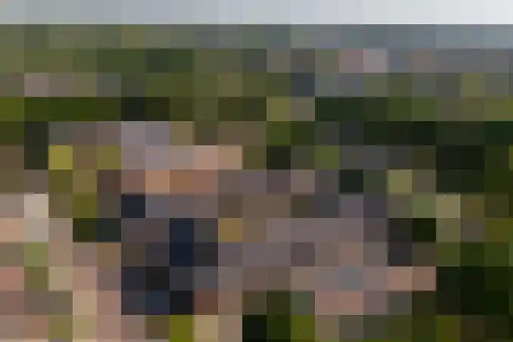 Hof van Wijk 12 Wijk bij Duurstede thumbnail 33