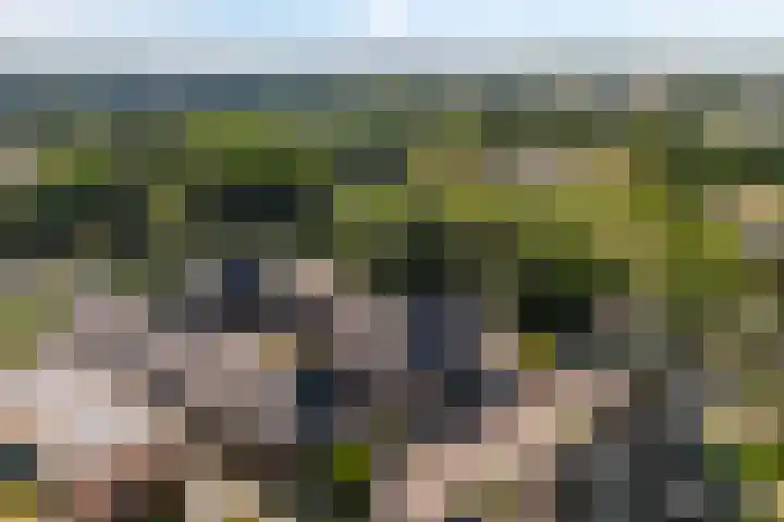 Hof van Wijk 12 Wijk bij Duurstede thumbnail 34