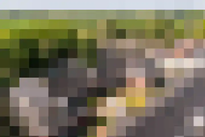 Hof van Wijk 12 Wijk bij Duurstede thumbnail 35