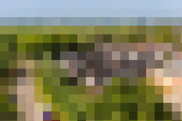 Hof van Wijk 12 Wijk bij Duurstede thumbnail 36