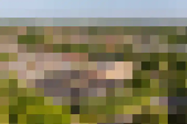 Hof van Wijk 12 Wijk bij Duurstede thumbnail 38
