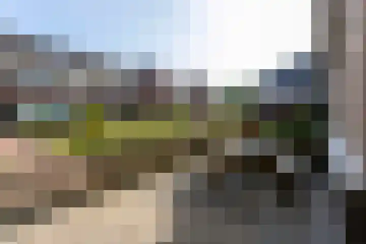 Hof van Wijk 12 Wijk bij Duurstede thumbnail 4
