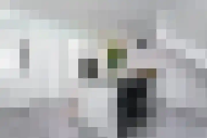 Hof van Wijk 12 Wijk bij Duurstede thumbnail 7