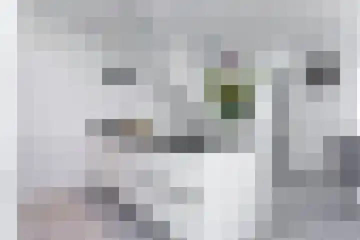 Hof van Wijk 12 Wijk bij Duurstede thumbnail 8