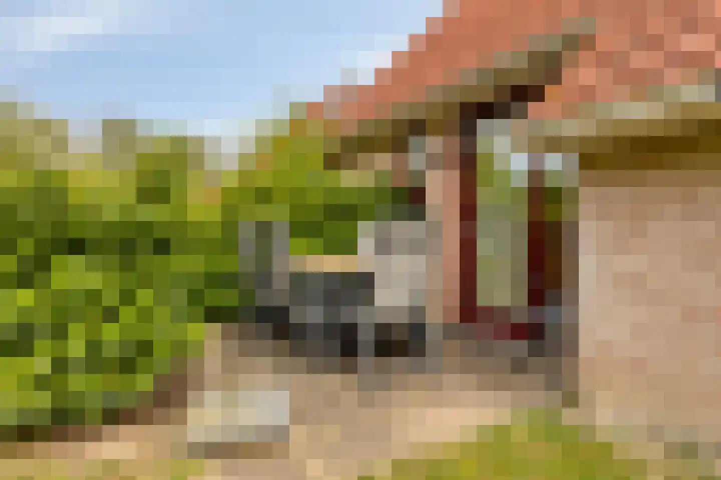 Hof van Zeeland 112 Heinkenszand thumbnail 32