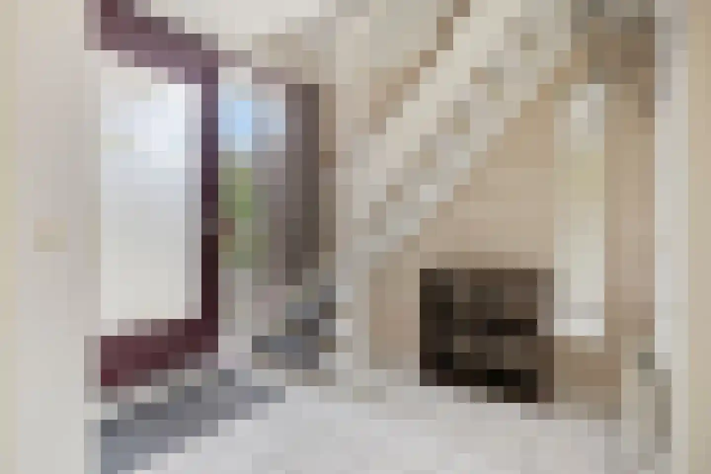 Hof van Zeeland 112 Heinkenszand thumbnail 8