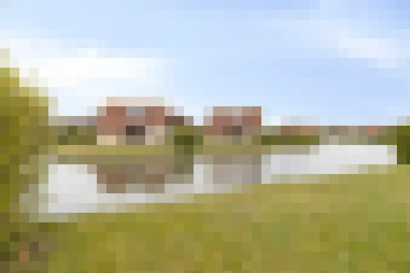 Hof van Zeeland 121 Heinkenszand thumbnail 34