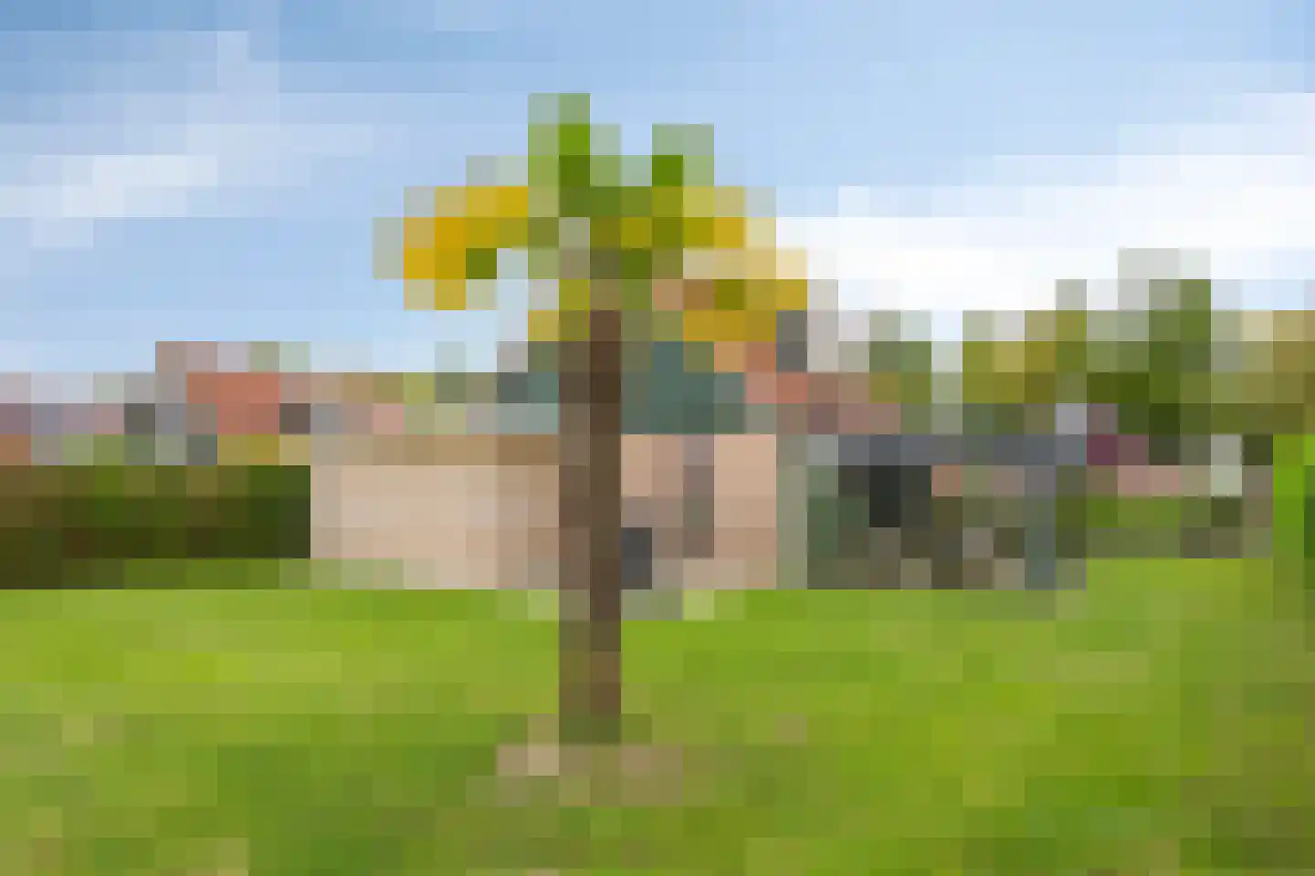 Hof van Zeeland 123 Heinkenszand thumbnail 34