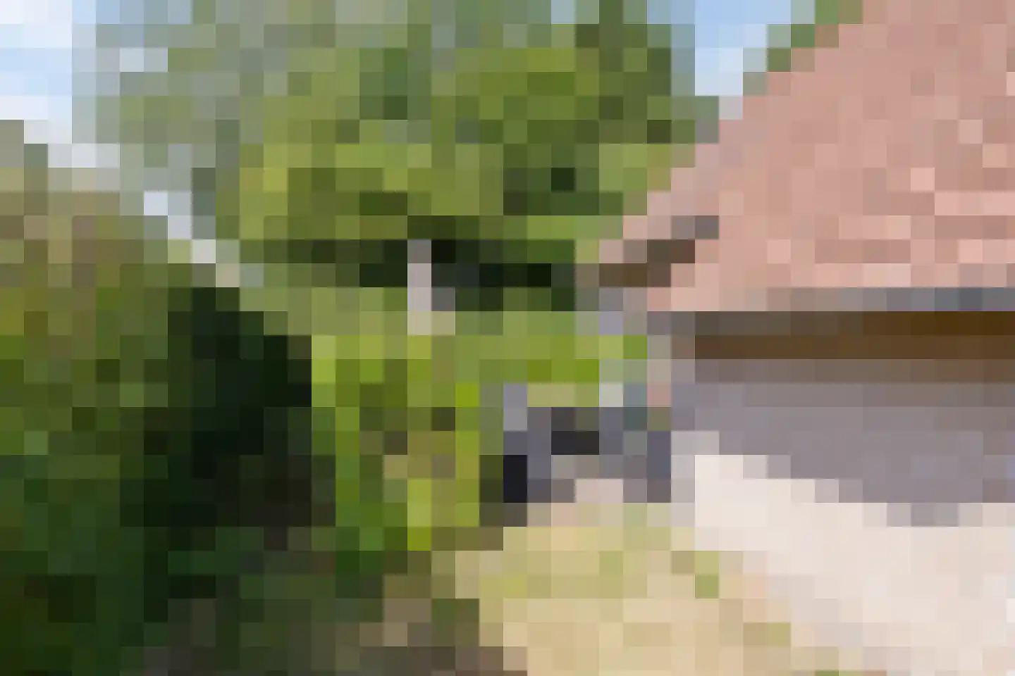 Hof van Zeeland 13 Heinkenszand thumbnail 26
