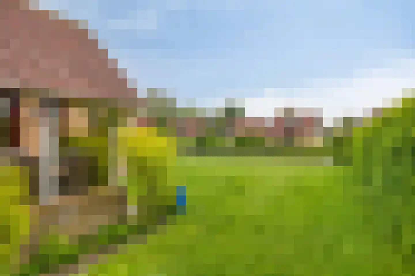 Hof van Zeeland 156 Heinkenszand thumbnail 20