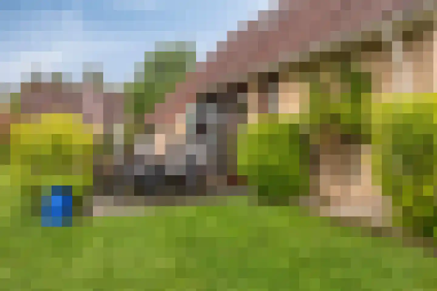 Hof van Zeeland 156 Heinkenszand thumbnail 25