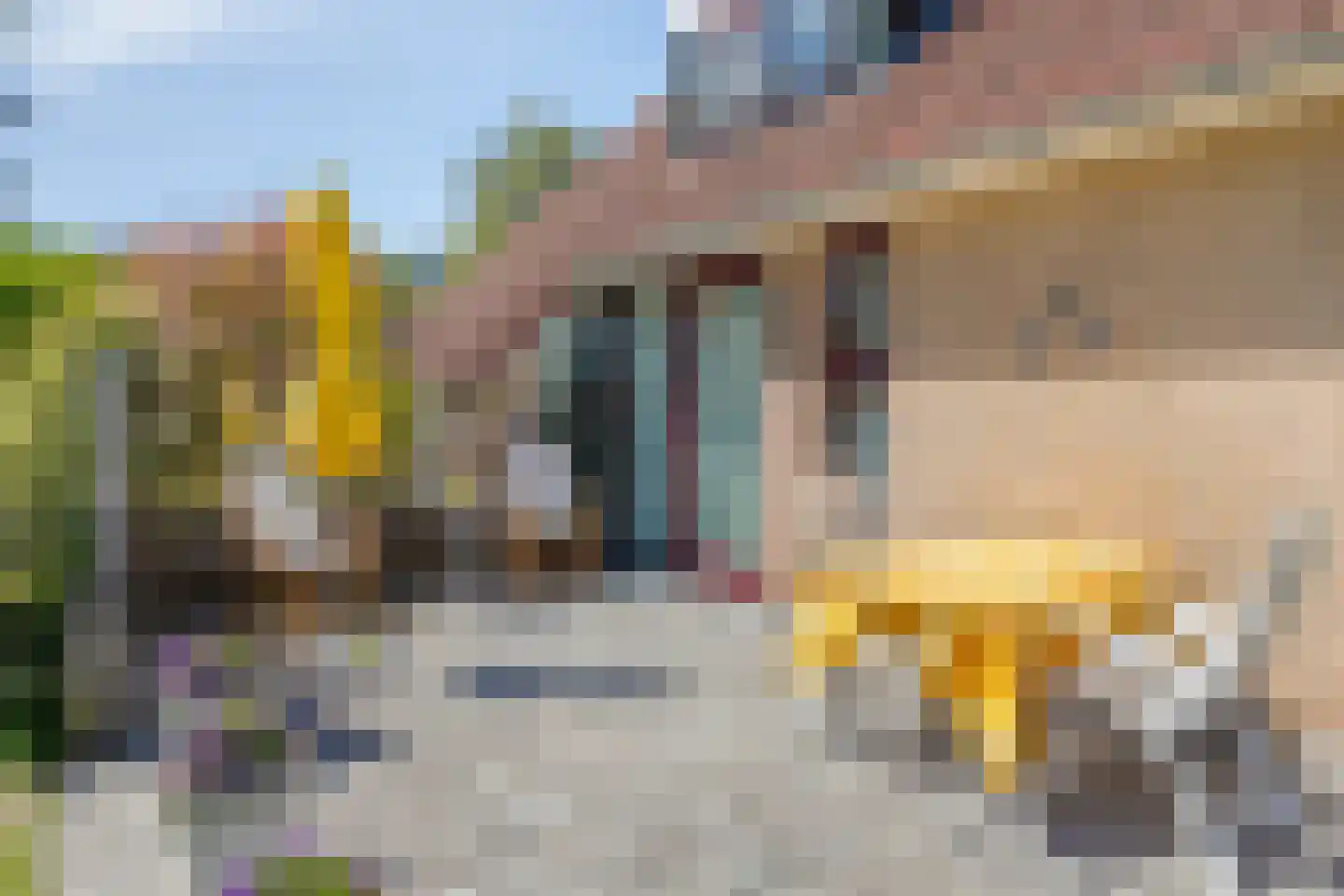 Hof van Zeeland 157 Heinkenszand thumbnail 24