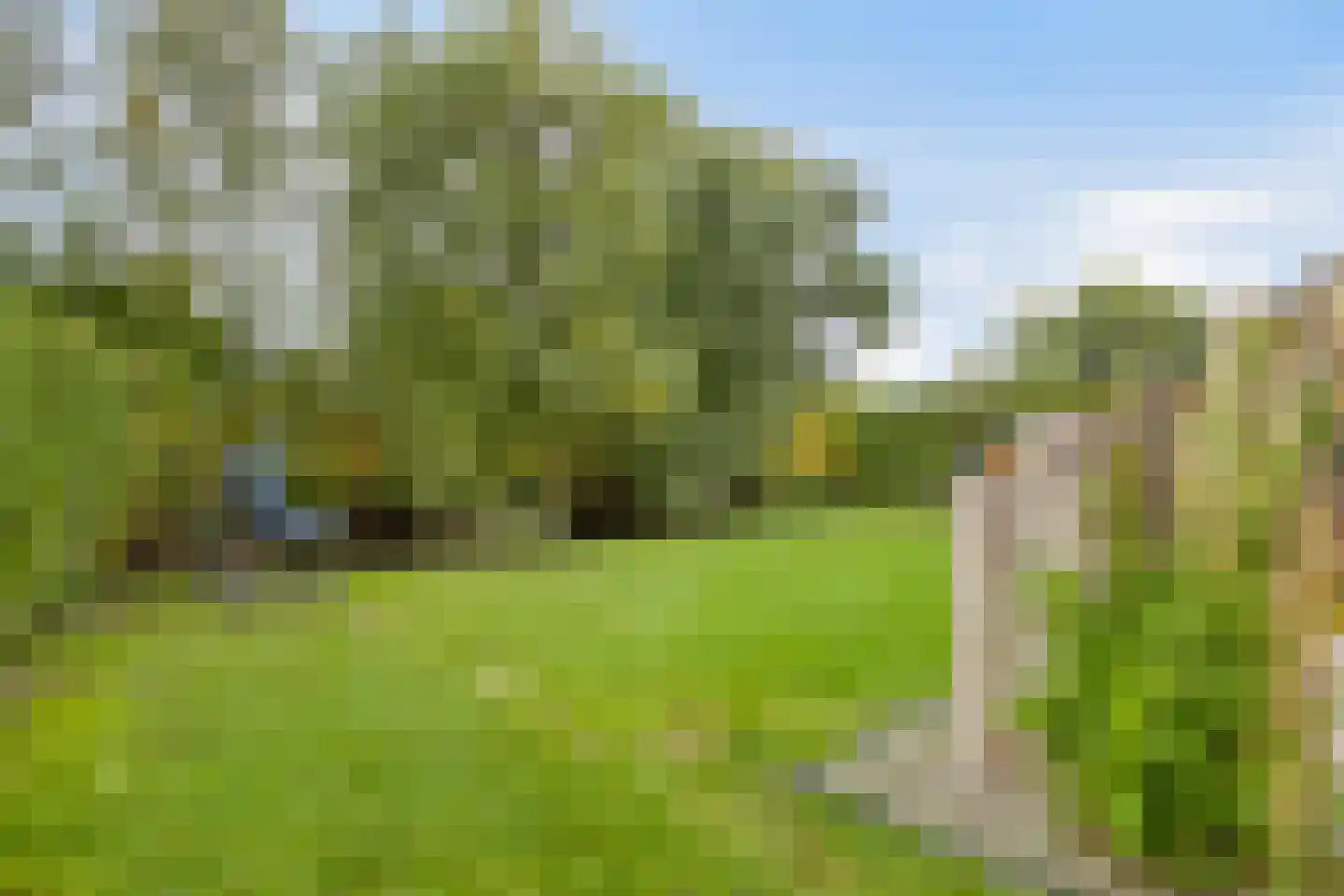 Hof van Zeeland 161 Heinkenszand thumbnail 20