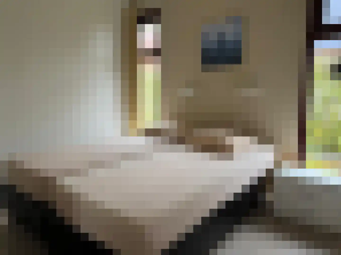 Hof van Zeeland 20 Heinkenszand thumbnail 7