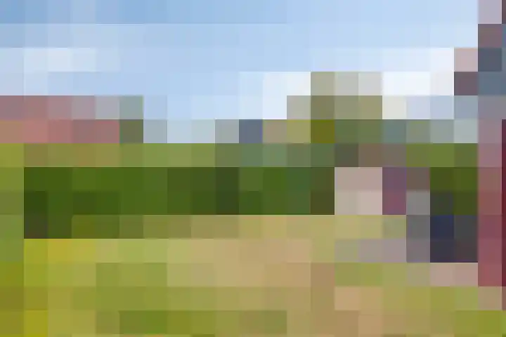 Hof van Zeeland 27 Heinkenszand thumbnail 23