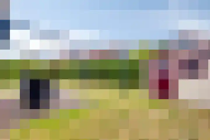 Hof van Zeeland 27 Heinkenszand thumbnail 25