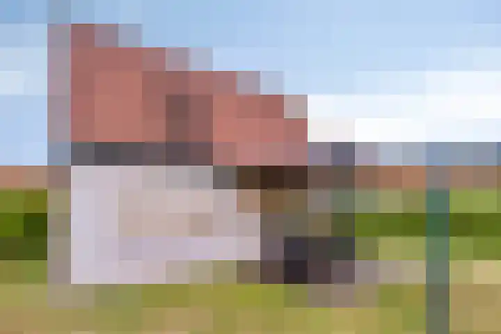 Hof van Zeeland 27 Heinkenszand thumbnail 26