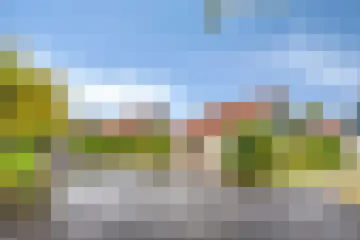 Hof van Zeeland 27 Heinkenszand thumbnail 4
