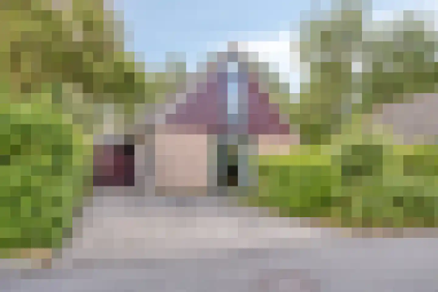 Hof van Zeeland 95 Heinkenszand