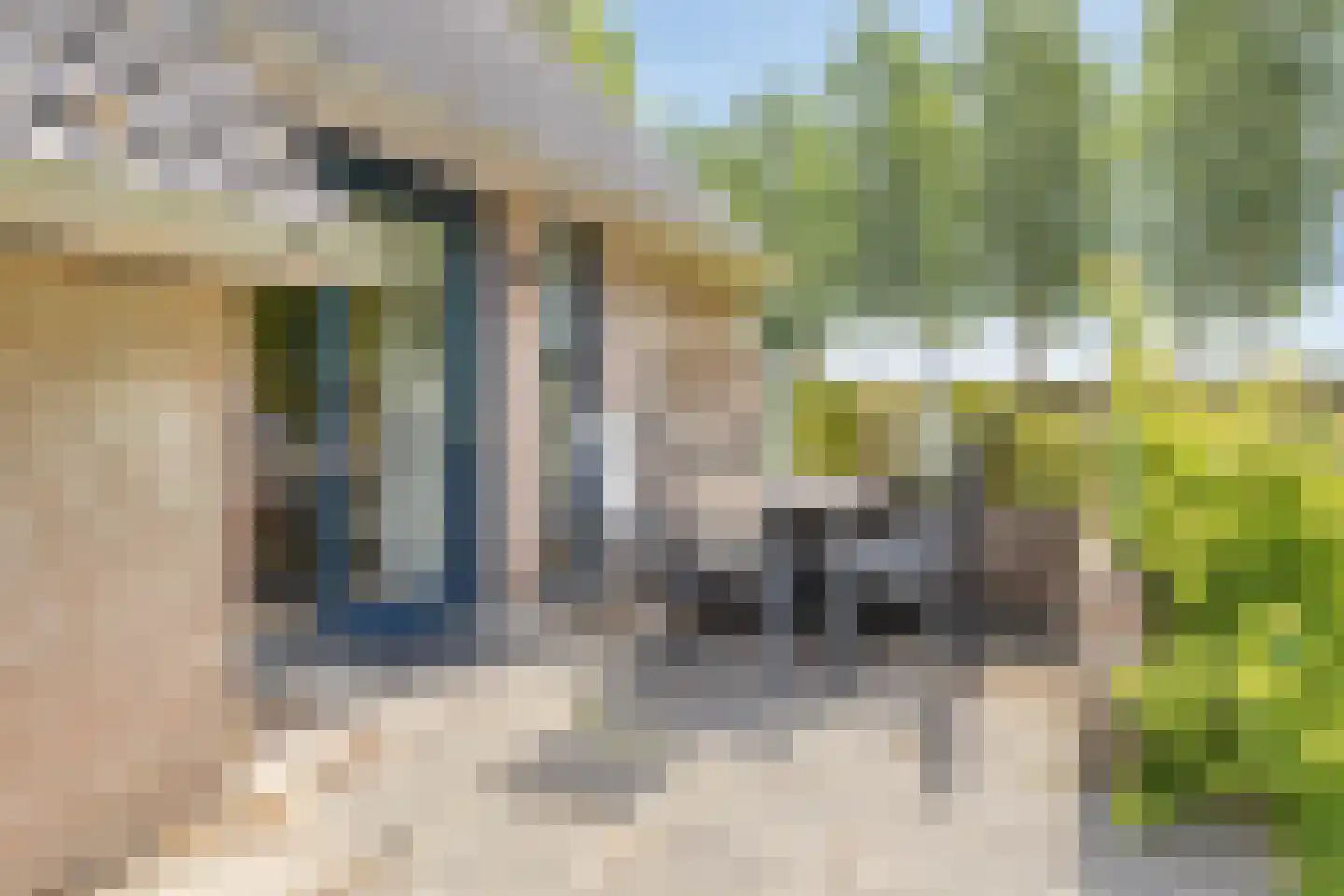 Hof van Zeeland 95 Heinkenszand thumbnail 20