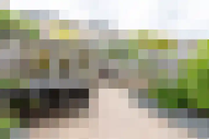 Hof van Zilverlicht 41 Delft thumbnail 13