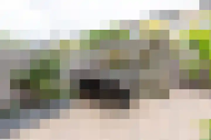 Hof van Zilverlicht 41 Delft thumbnail 14