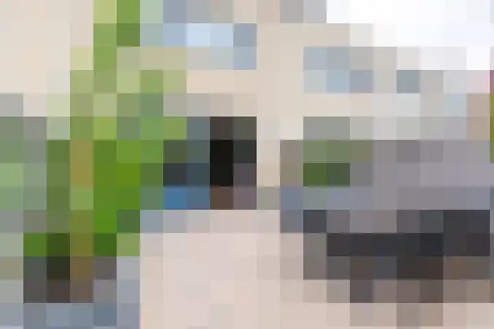 Hof van Zilverlicht 41 Delft thumbnail 15