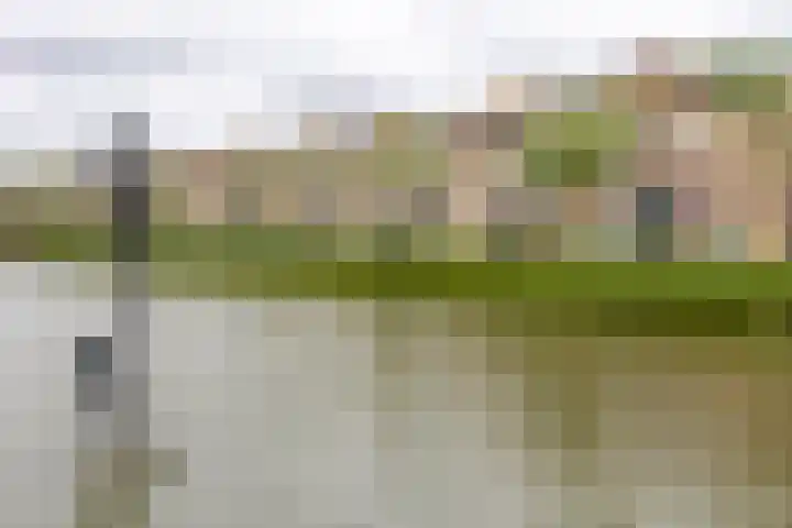 Hof van Zilverlicht 41 Delft thumbnail 20