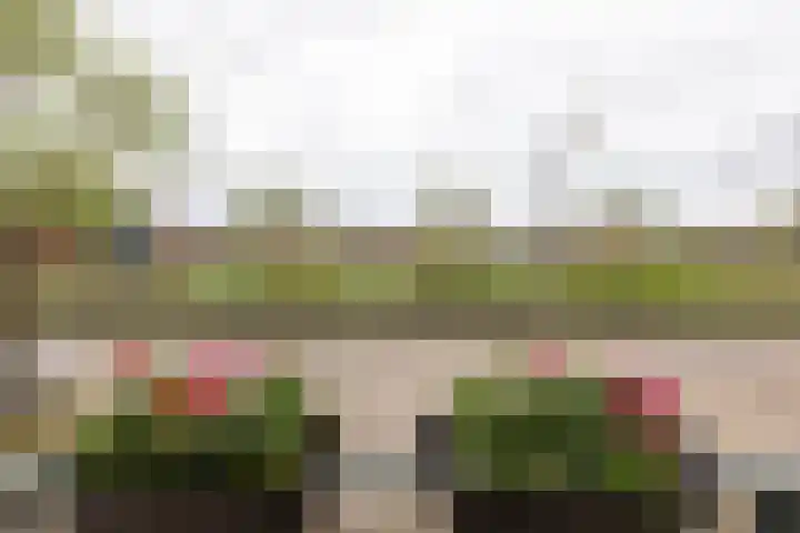 Hof van Zilverlicht 41 Delft thumbnail 21