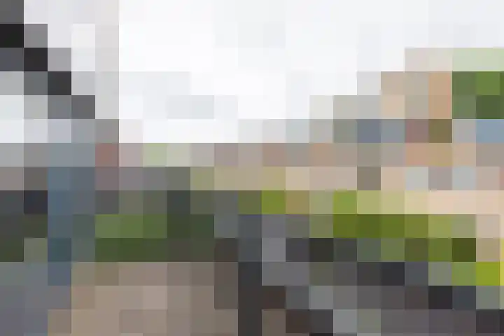 Hof van Zilverlicht 41 Delft thumbnail 31