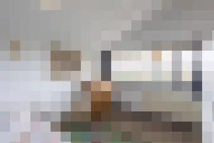 Hof van Zilverlicht 41 Delft thumbnail 33