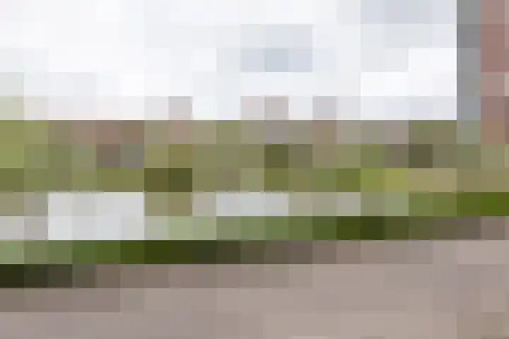 Hof van Zilverlicht 41 Delft thumbnail 34