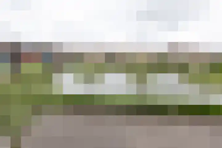 Hof van Zilverlicht 41 Delft thumbnail 35