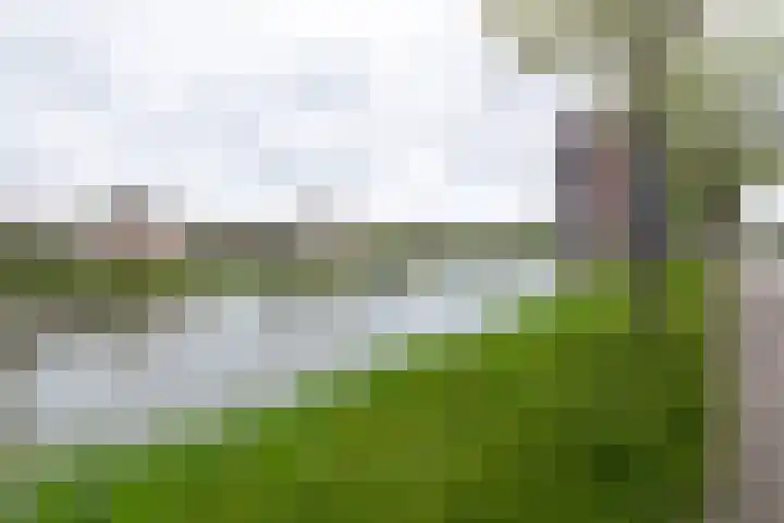 Hof van Zilverlicht 41 Delft thumbnail 37