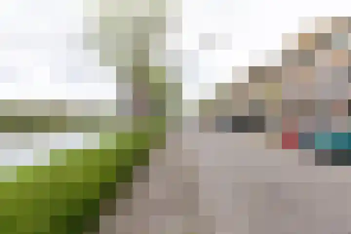 Hof van Zilverlicht 41 Delft thumbnail 38