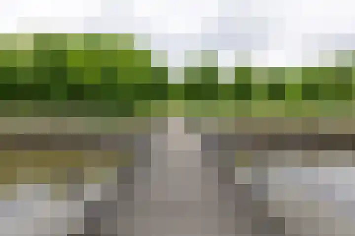 Hof van Zilverlicht 41 Delft thumbnail 39
